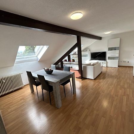 Stilvolle Wohnung Im Stadtzentrum Кайзерслаутерн Экстерьер фото