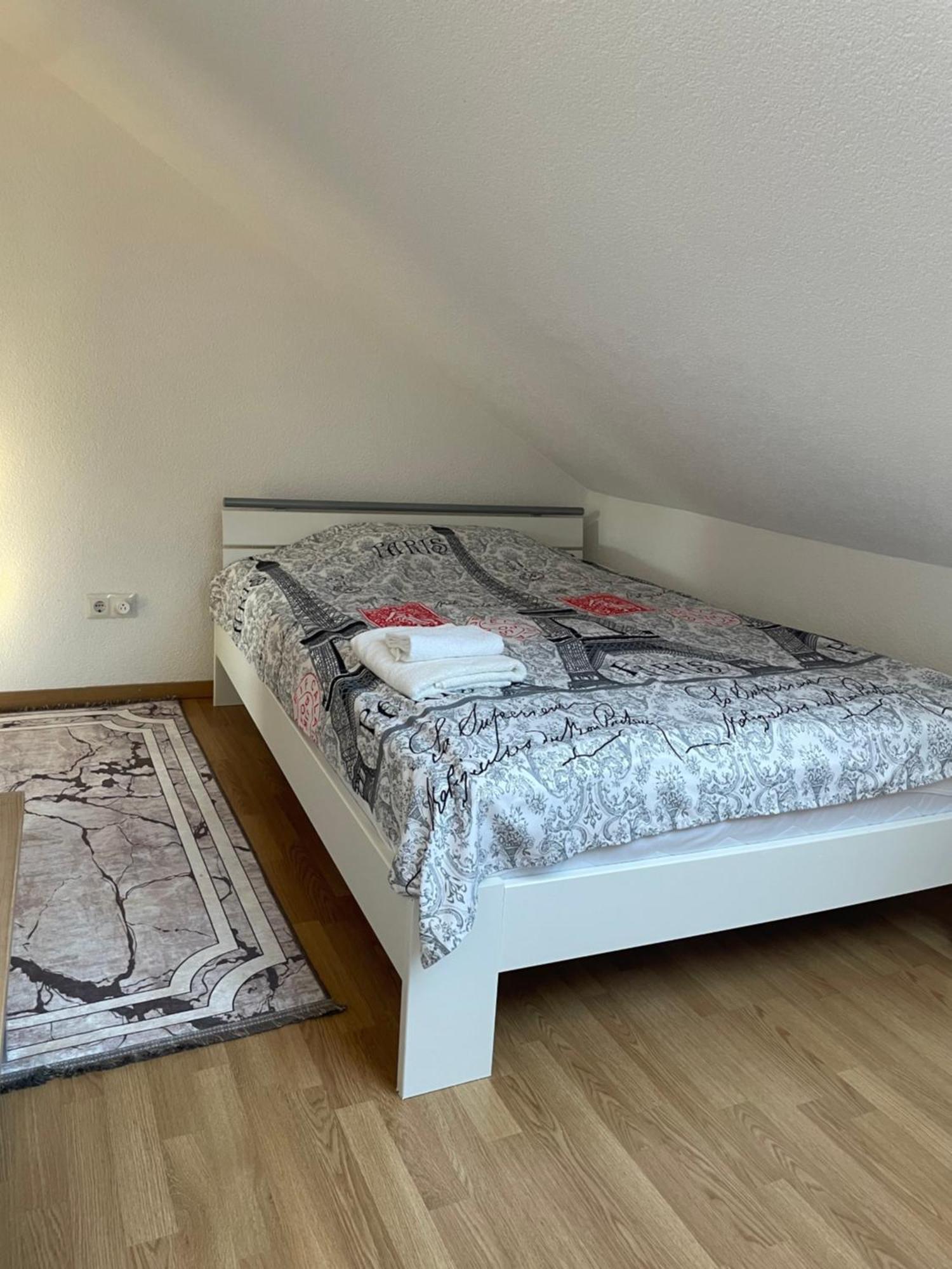 Stilvolle Wohnung Im Stadtzentrum Кайзерслаутерн Экстерьер фото